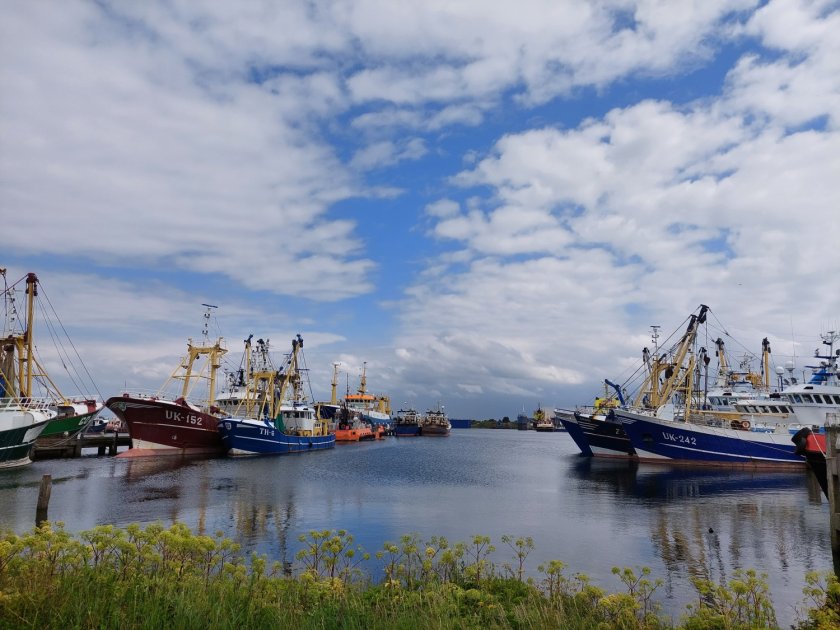 Researchers from Wageningen Marine Research estimate that the Netherlands has over 30 remaining large beam trawlers. Researchers from Wageningen Marine Research estimate that the Netherlands has over 30 remaining large beam trawlers.