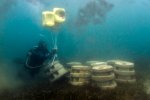 4. Construction of an artificial coral reef in Kenya - photo Ewout Knoester 4. Construction of an artificial coral reef in Kenya - photo Ewout Knoester