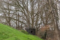 De Grebbelinie in de provincie Utrecht is onderdeel van het NNN. Deze historische verdedigingslinie vormt een belangrijke ecologische verbinding.  De Grebbelinie in de provincie Utrecht is onderdeel van het NNN. Deze historische verdedigingslinie vormt een belangrijke ecologische verbinding.