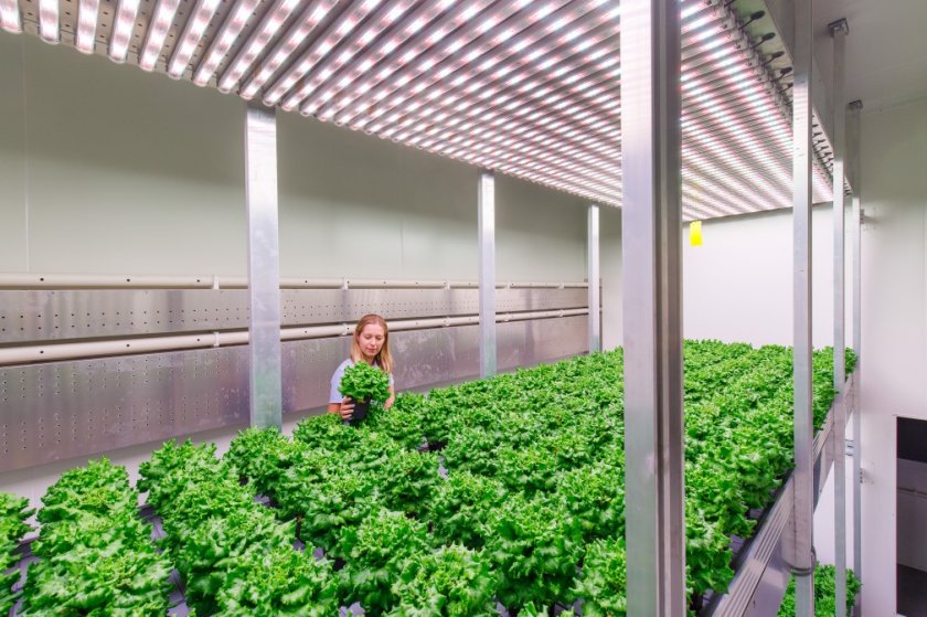 20200617G-00010.jpg 20200617G-00010.jpg