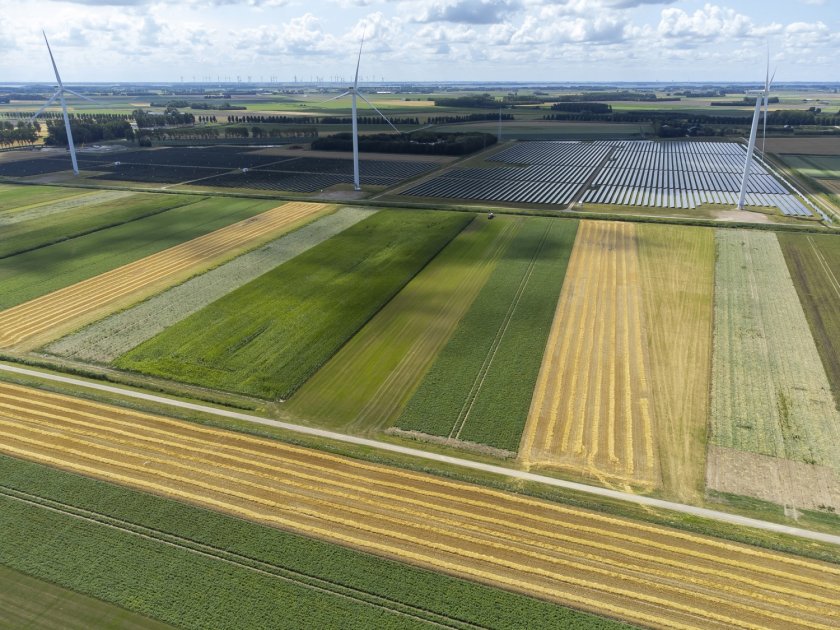 In mixed cropping systems, many different kinds of crops and flower banks grow together. Photo: HAKO fotografie. In mixed cropping systems, many different kinds of crops and flower banks grow together. Photo: HAKO fotografie.