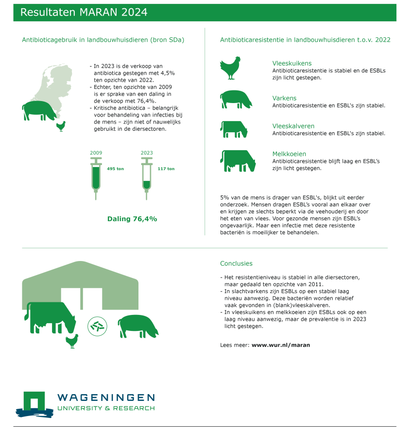 Infographic MARAN  Infographic MARAN