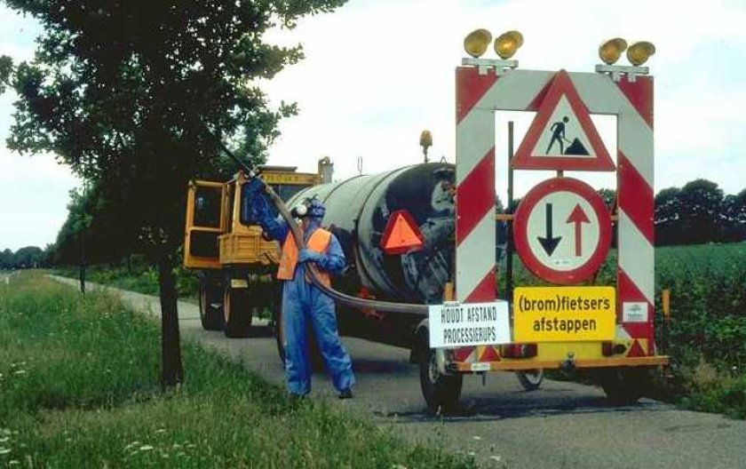 Op bepaalde plekken kan men bij overlast volstaan met niets doen, branden of zuigen. In andere situaties is de rups onder voorwaarden goed te bestrijden met een bacteriepreparaat (foto: Leen Moraal) Op bepaalde plekken kan men bij overlast volstaan met niets doen, branden of zuigen. In andere situaties is de rups onder voorwaarden goed te bestrijden met een bacteriepreparaat (foto: Leen Moraal)